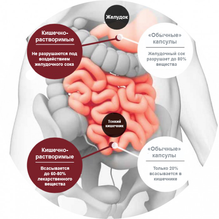 схема работы кишечнорастворимых капсул