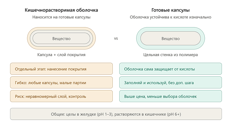кишечнорастворимая оболочка