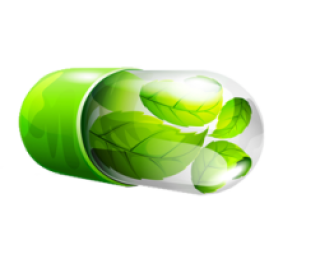 Растительные капсулы пустые купить 