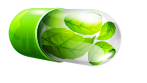 Растительные капсулы пустые купить 